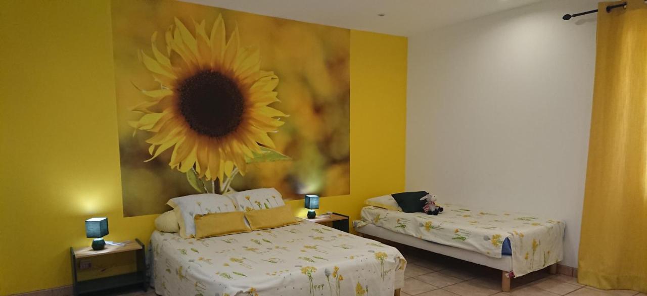 Chambres D'Hotes- Le Pre Aux Anes Albon Kültér fotó