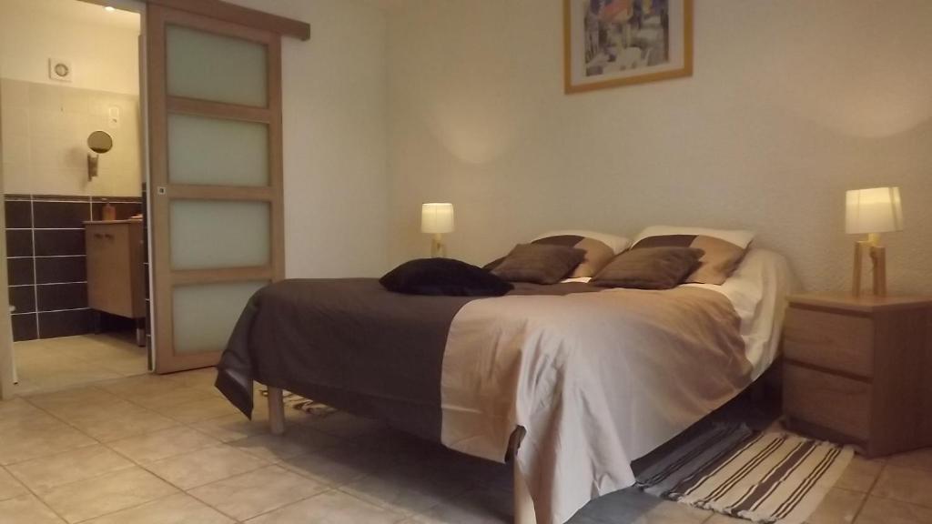 Chambres D'Hotes- Le Pre Aux Anes Albon Szoba fotó